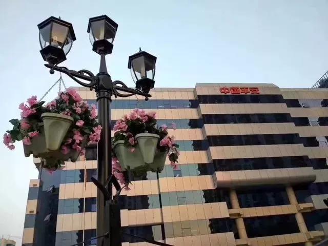 ΢�ňDƬ_20191219181823.jpg